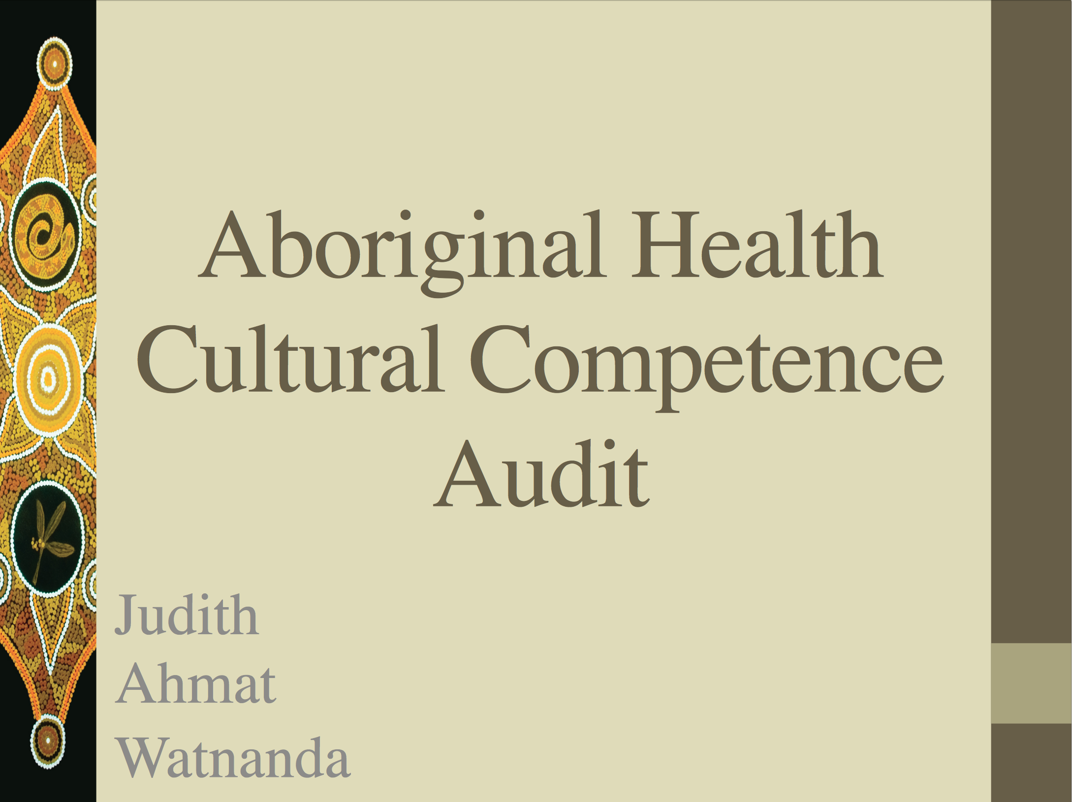 Cultural Competence Audit